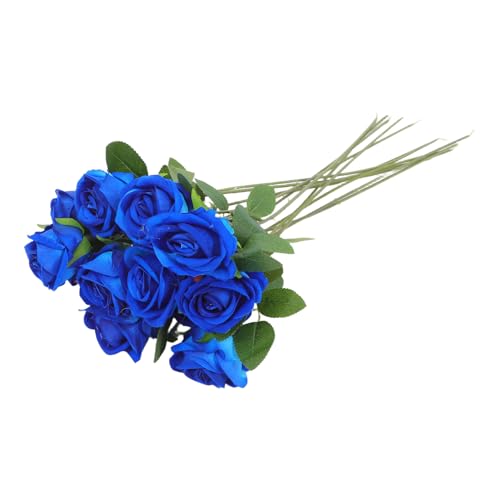 WEKADRIN ԃo 12Zbg ztFCNt[ o^Cf[  z[fR[Vp A^b`̉ԉő