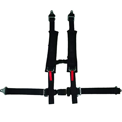 View 5