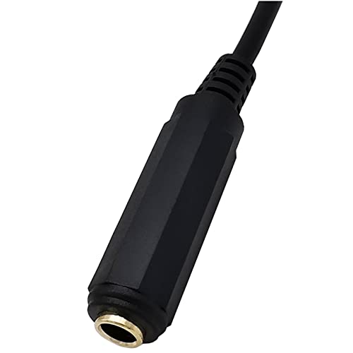 Cable adaptador estéreo 6.35mm hembra a macho 30cm miniatura 6