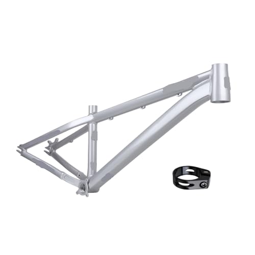 N[U[ _[gWvt[ 26C` y A~ }EeoCN n[he[ DJ BMX 10x135mm NCbN[X(26inch-Silver)