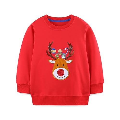Boys Sweatshirts Casual Sweatshirts Cotton Sweatshirts Long Sleeve T-shirts Crew Neck Cartoon Tops for Boys-246