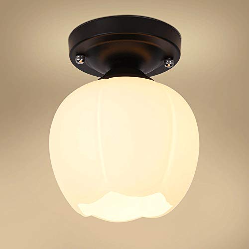 Lámpara de techo con luz LED de suspensión individual de vidrio