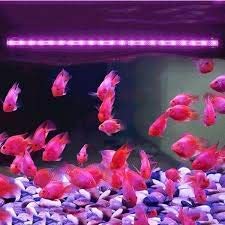 Taiyo Pluss Discovery Dee Bow Electrical Fully Submersible LED Aquarium Light for Freshwater and Saltwater Fish Tank (Red)