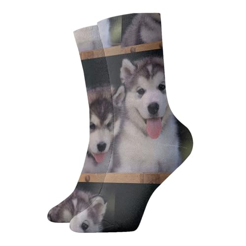 YBGHDAA Husky Dog - Meias casuais para mulher, quentes, aconchegantes, para o inverno, para dormir