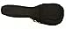 Tenor Ukulele Gig Bag
