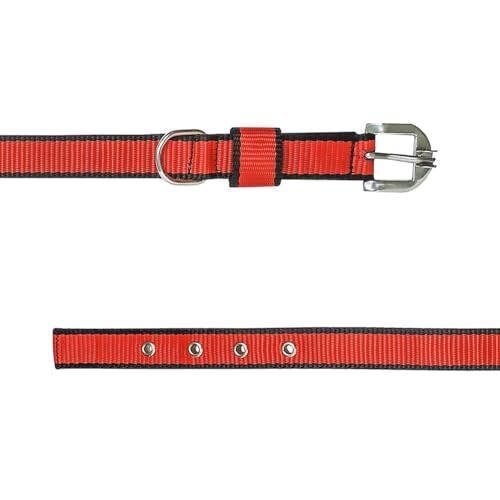 Image of THE BON BON Premium 5ft Dog Leash and Collar Set for Large Dogs | Heavy Duty Nylon with Reflective Stitching, Padded Handle, Adjustable Collar | Ideal for Walking and Training (Red, Large)