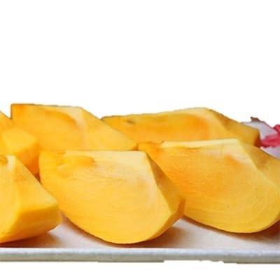 [八幡浜特産 国内最大級の 柿] 富士柿 5kg 種無し(D20-21)