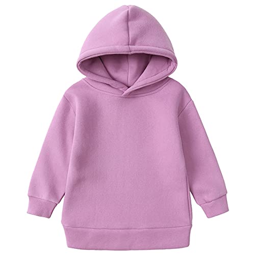 Boys Girls Fall Winter Soft Fleece Lined 2 Piece Athletic Hoodie and Jogger Pants Tracksuit Set,18 Months-14 Years2