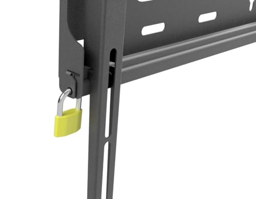 Universal Wall Mount Vesa 600x800 Locable Designed For Tou - vue 5