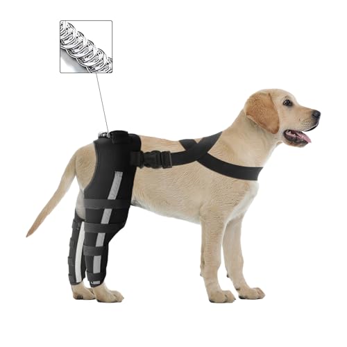 Image of Double Dog Knee Brace for Torn Acl Hind Leg, Double Dog Leg Braces for Back Leg for Support,Acl Brace for Dogs, Built-In Hard Metal Spring Support,Outer Night Reflective Strip,Adjustable Strap (Small)