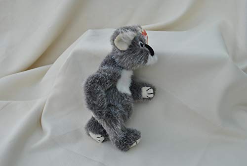 Preisvergleich Produktbild Brisbane - Ty Beanie