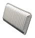 WIX Filters - 42863 Air Filter Panel, Pack of 1
