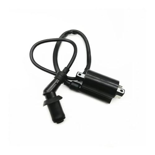 CDI reemplazo Piezas De Motocicleta, Regulador De Bobina De Encendido CDI Para YA&MAHA XV250 V-star 250 Virago Route 66 VENTO V-thunder Colt LF250