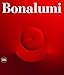 Agostino Bonalumi: Catalogue Raisonn&Atilde;&copy;
