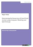 Determining the Interaction of Cresyl Violet Acetate using Computer Modeling and Spectroscopy