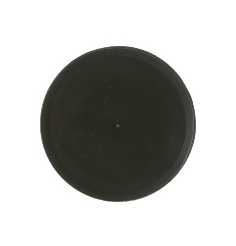 General Electric WR17X11653 Refrigerator Dispenser Door Flap