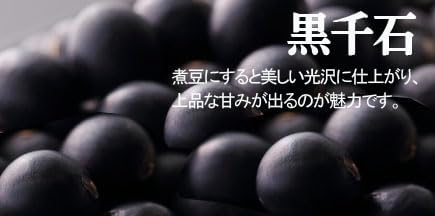 Amazon.co.jp: 無農薬小粒黒豆 平譯さんの畑から 黒千石300g×2パック