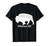 The White Buffalo Wakan Gli Signifies A Change