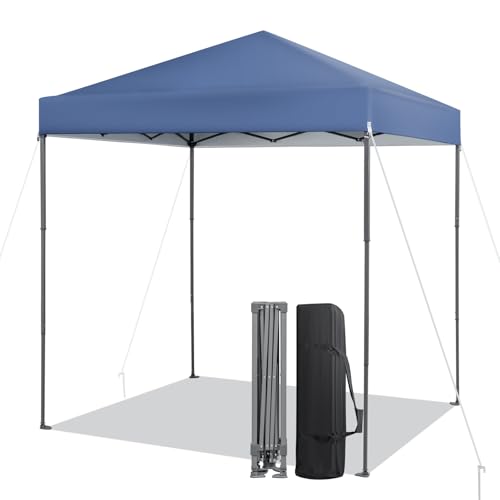 LDAILY 6.6 x 6.6 Ft Pop Up Canopy, Portable Canopy Tent...