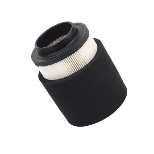 Filtre adapté pour 300 2x4 filtration maximale moteur quad 196