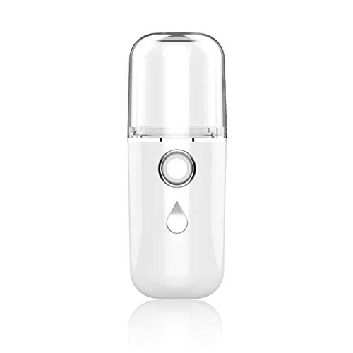 humeng Assainisseur d'air Portable Mini Vaporisateur Facial 30Ml Vaporisateur Facial Corps Vaporisateur Hydratant Équipement De Beauté pour Le Soin De La Peau-Blanc