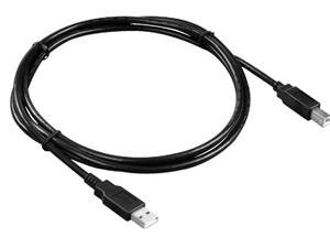 MICROPAC TECHNOLOGIES USB 2.0 10ft A Male To B Male USB Cable