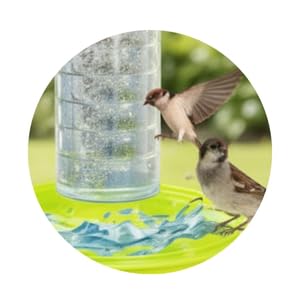 Image of FORREVER Bird Feeder & Water Dispenser for Balcony-Garden | Hanging Seed Feeder with Water Tray | Sparrow, Parrot & Small Bird Feeder | Easy-Clean, Outdoor Feeding Station (Combo)