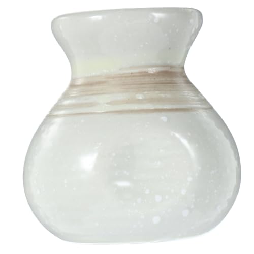 AUTSUPPL Ceramic Toothpick Dispenser for Cooking Gadgets Storage Container Lids