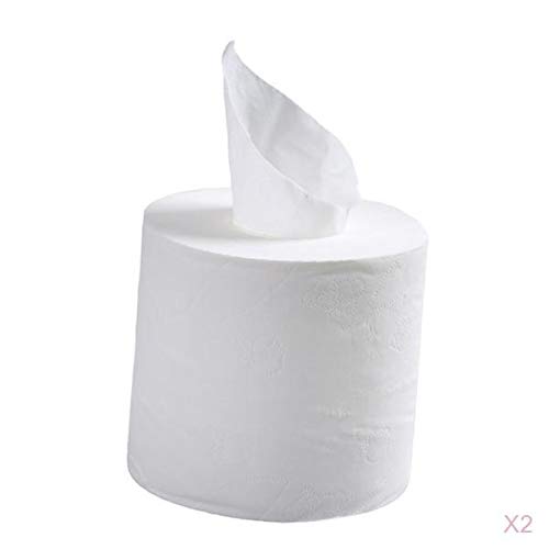 ARTISOUL® 2 Roll Comfortable 4 Ply Toilet Paper Bulk Roll Wood Pulp Bath Tissue | Household Supplies & Cleaning | Paper Products | Toilet Paper 4