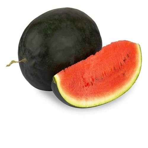 Fresh Water Melon Large, Kiran, 1 Pc (3 to 5kg)