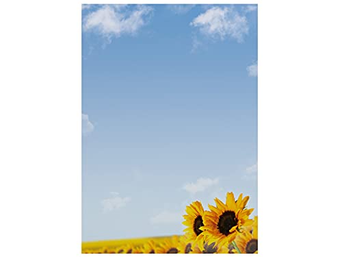 Briefpapier | Sonnenblumen | 50 Blatt Floral Blumen Motivpapier DIN A4