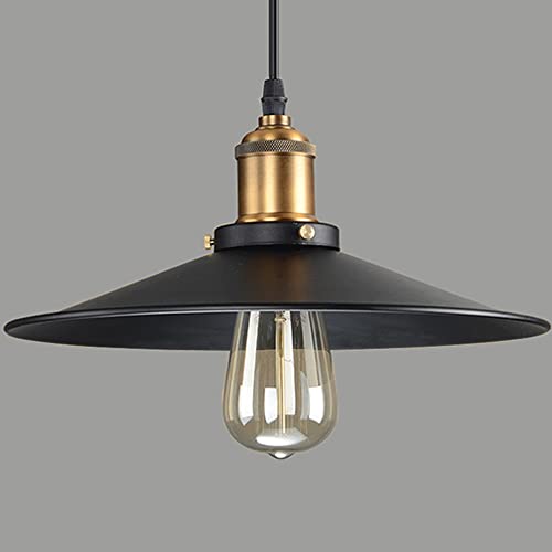 Luminaire Suspension Vintage Loft Style DIY Installation Facile pour éclairage Cuisine, Salle à manger, Salon, Chambre D'enfants et de restaurant(30cm)（E27...