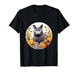 Design dolce con gatto Charteux