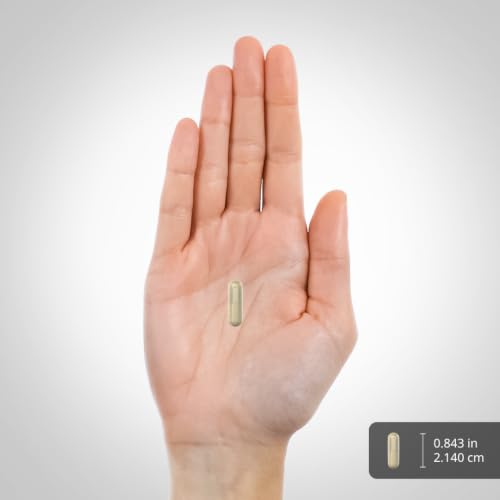 Piping Rock Green Lipped Mussel Capsules