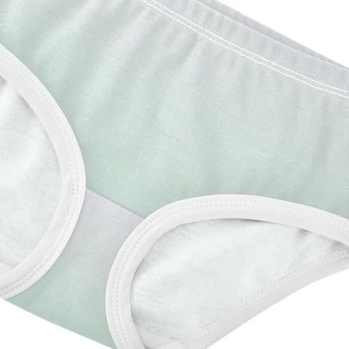 Joisal Cotton Girls Underwear Toddlers Magnolia Horizon Blue Gradient Panties Little Girl Fancy Kids Briefs Undies 2t4