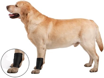 ZenPet Ligament Wrap for Dogs (Medium)