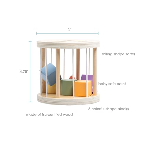 Image of Pearhead Wooden Match and Roll Shape Sorter - Montessori Early Learning Toy, Rolling Toddler Toy, Educational Wooden Color Sorting Cylinder for Fine Motor and Early STEM Skills, Ages 12m+