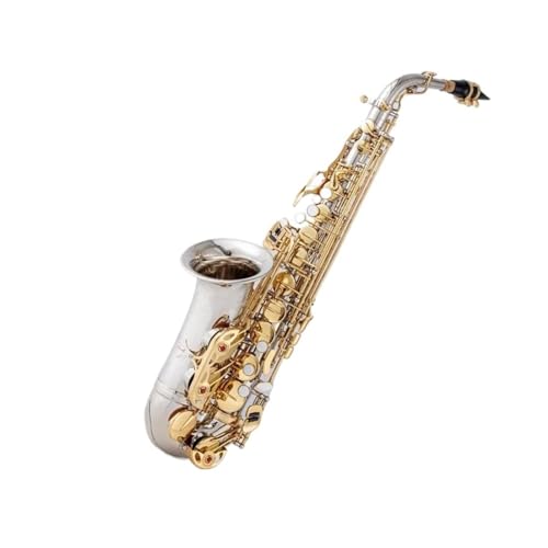 tFbViTbNX vtFbVi AgTbNX jbPbL P[XA}EXs[XAANZT[t