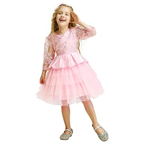 TTYAOVO Baby Girl Flower Princess Embroidered Party Dress Size 80(6-12 Months) 773 Pink Cover
