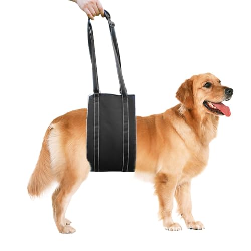 Harnais de Levage pour Pattes arrière de Chien - Accessoires de Soins Animaux réglables et réfléchissants - Sangle Soutien Chiot Pattes arrière | pour Marche extérieure et