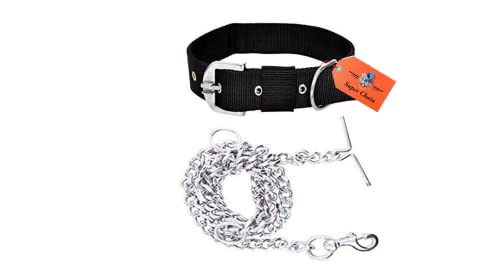 Image of Dog Belt Combo of Nylon Collar with Heavy Dog Chain 63 Inch Dog Collar Chain (Medium, Black)