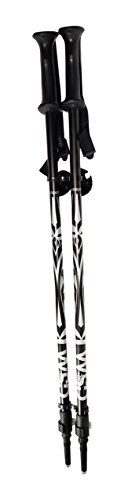 WSD Telescopic Adjustable Collapsible Adult Alpine Ski Poles Pair with Baskets, Black/Silver