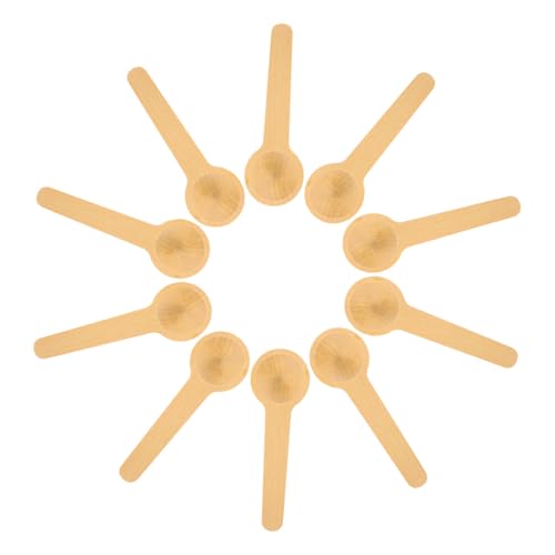 LOORGVEL 10個 木製ミニスプーン 調味料 粉ミルク バスソルト用携帯用計量スプーン 素材 コンパクト収納 キッチン カフェ レストラン対応