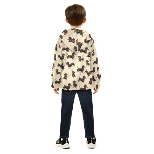 Cute Dachshund Dogs Beige Boys Winter Jacket, Boys Hooded Jacket Comfy for Fall Winter Spring 3T4
