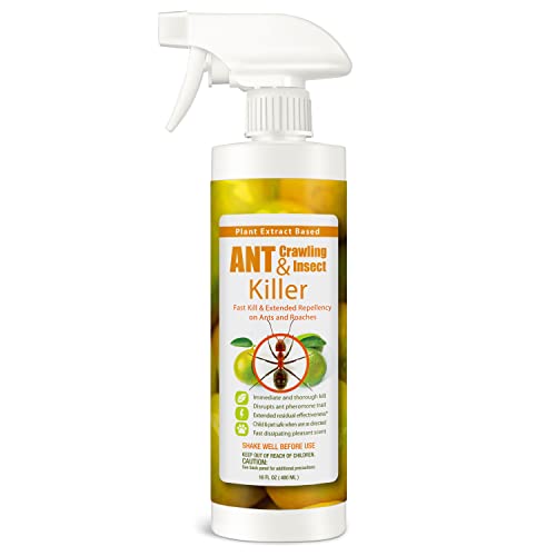 Top 10 Best Homemade Ant Killer Spray Reviews & Buying Guide Katynel