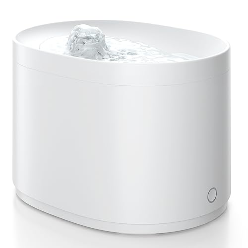 Top 10 Best Water Fountains Reviews In 2023 Glory Cycles