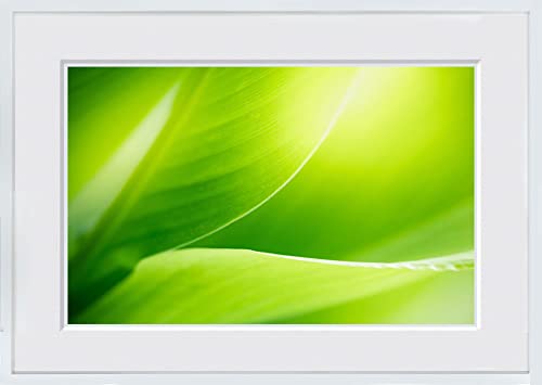 A.P.J WITH FOTO 額縁付き インテリアアート A2 緑の葉/Green leaves