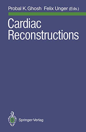 Cardiac Reconstructions view 2