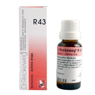 Dr. Reckeweg R43 Bronchial Drop(Pack Of 2) (B0CLDMTN8K) Amazon Price History, Amazon Price Tracker