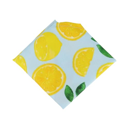 Operitacx ybgo_i p Lp OpXJ[t ֑ z悾ꂩ ybgp^I gƃp[eB[